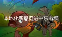 本地化新品挺进中东市场！中联重科R系列旋挖钻机交付阿联酋