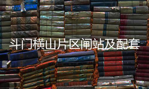 采用水闸泵站合建的斗门方式