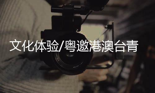 台湾的文化青年学生参与其中