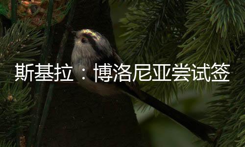斯基试签期间他出场30次