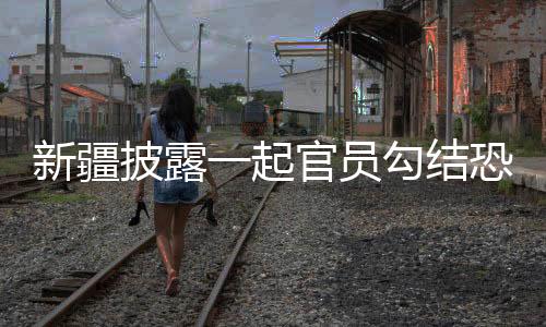 依法保障其各项诉讼权利