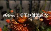 新突破�！柳工欧维姆首次牵头修订国际标准ISO14655