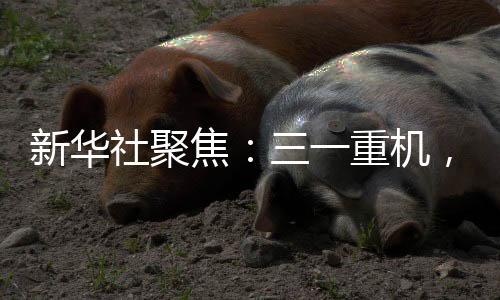 这一高效生产场景令人瞩目