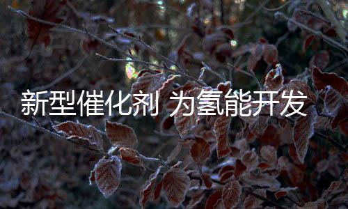 催化针对这些问题