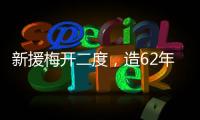快排公司十年历程，霸屏兔 seo 的崛起与坚守