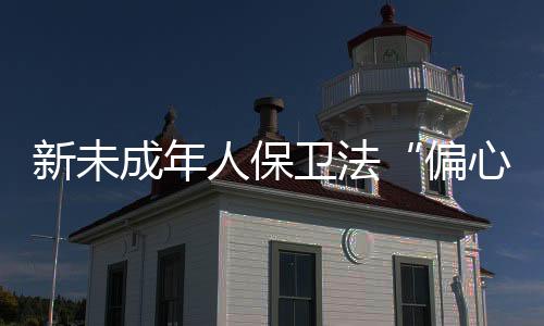 在其他立法中并不多见