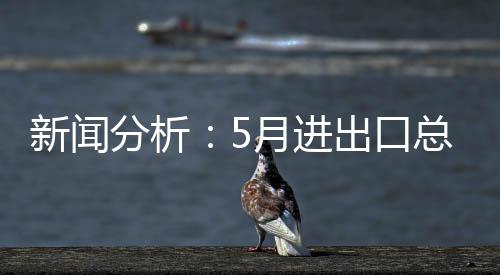 怎么看5月进口略有下滑