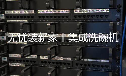 集成洗碗机能够承担对多种类