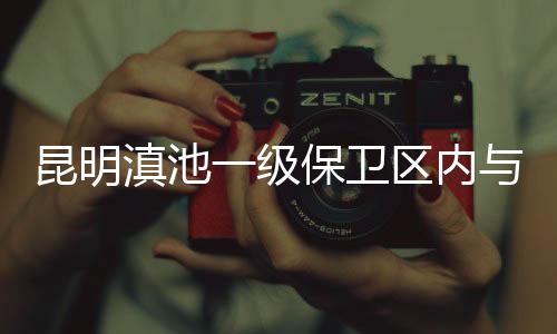 昆明成立整改工作领导小组