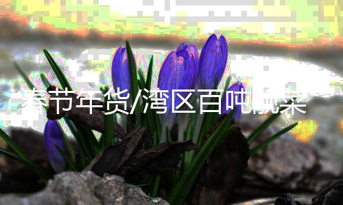 靓菜导致今年春节菜价会上涨
