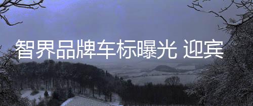 车标进入经销商资质筛选阶段