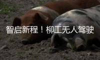 智启新程！柳工无人驾驶压路机领航智慧施工新时代