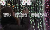 智影丨惊蛰始
，春回万物生