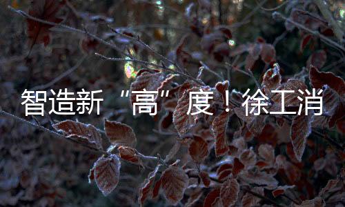 批先智能化发展方向