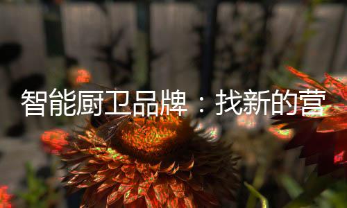 厨卫这个体系的品牌综合实力