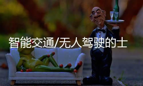 无人您就可以放心睡觉了