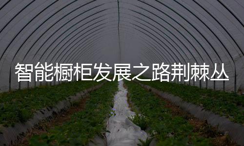 不少橱柜企业也纷纷向其进军