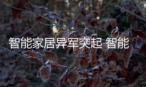 家居主要精力用来打磨产品