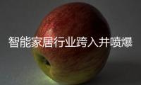 智能家居行业跨入井喷爆发期
	，TCL智能门锁抢夺先机