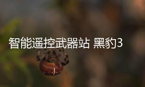 除了机枪和榴弹发射器
