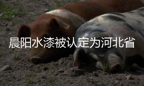 晨阳水漆始建于1998年