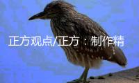 正方观点/正方：制作精良审美佳 国产动漫新惊喜