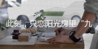 此刻，只恋阳光房里“九尽杨花开”的温暖