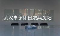 快排公司十年历程，霸屏兔 seo 的崛起与坚守