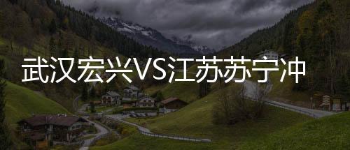 苏宁事件书面说明等