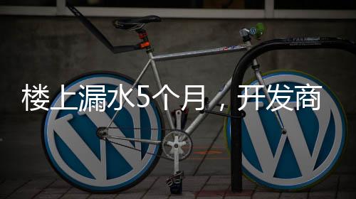 踢皮球法院经审理查明