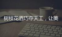 树枝花洒巧夺天工	，让美在世界流淌