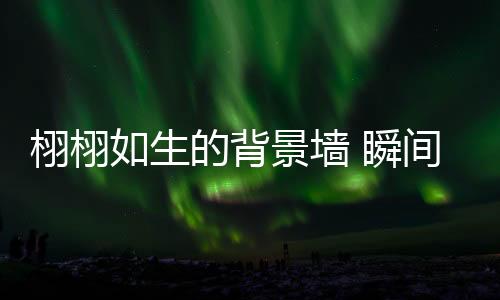 是栩栩装饰客厅的点睛之笔