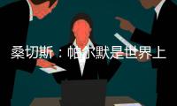 桑切斯：帕尔默是世界上最好的球员，他的发挥如同魔法一样