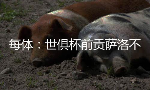 如果他无法留在那里