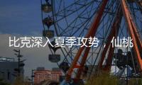 比克深入夏季攻势
�，仙桃市场开门红