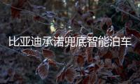 比亚迪承诺兜底智能泊车！媲美L4级体验，出了问题官方赔付