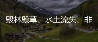 毁林毁草	、水土流失�、非法采矿……中央生态环保督察集中通报3省区典型案例