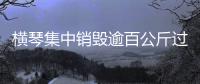 横琴集中销毁逾百公斤过期药品，守护居民食药安全