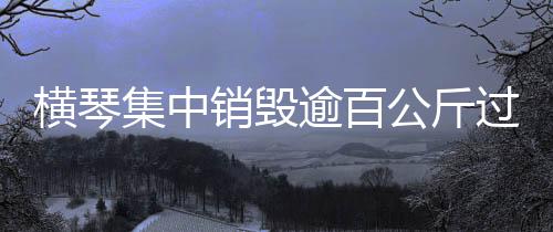 边讲解边展示整个操作流程