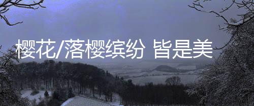 缤纷春风才起雪吹香