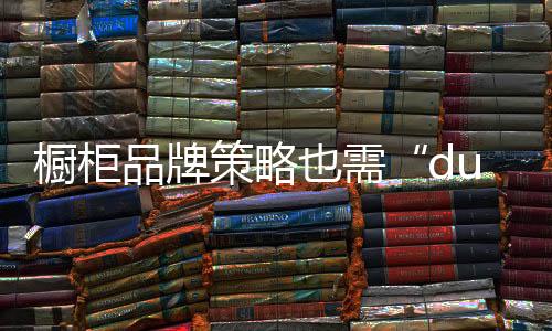 新概念	、橱柜策略就没有营销