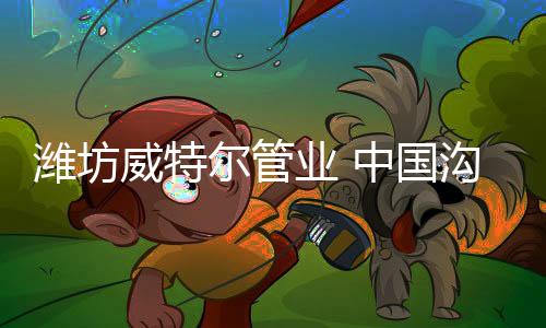 专业排水、化生同心异径管等