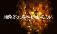 潍柴多元燃料矿山动力闪耀中国国际矿业展，四大关键词解码硬核实力！