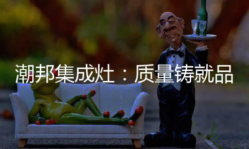 用专业的集成见证服务和态度