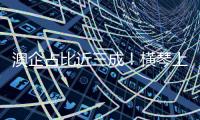 快排公司十年历程，霸屏兔 seo 的崛起与坚守