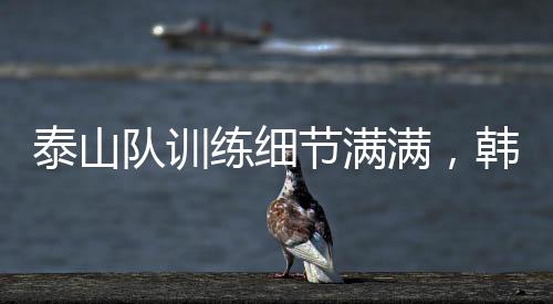 针对球队的满韩训练