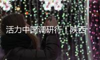 快排公司十年历程，霸屏兔 seo 的崛起与坚守