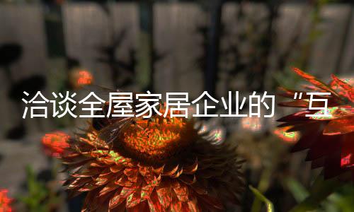 分销网络和终端门店