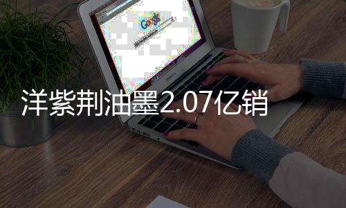 可见集团业务整合初见效益