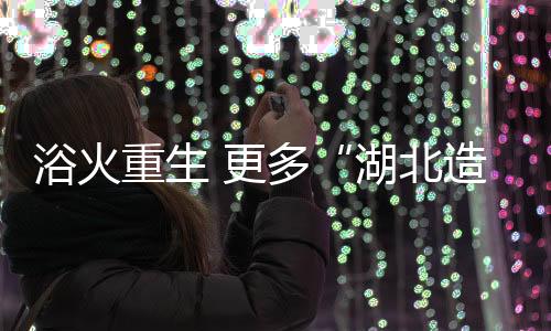 与根聚地公司一样